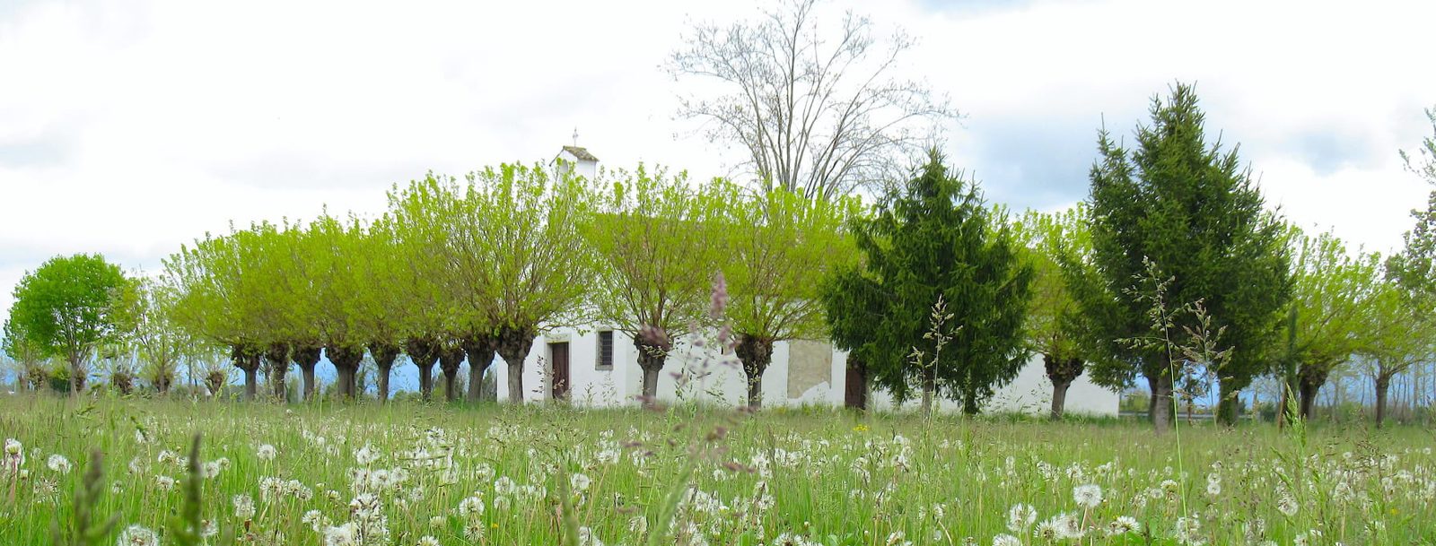 Codroipo — Tra acque, risorgive, campagna, parco e storia
